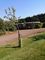 Thumbnail Equestrian property for sale in Tba, Cotswold
