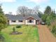 Thumbnail Bungalow for sale in Witley, Godalming, Surrey