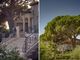 Thumbnail Villa for sale in Grimaud, St. Tropez, Grimaud Area, French Riviera