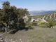 Thumbnail Land for sale in Fuente Del Conde, Andalucia, Spain