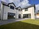 Thumbnail Detached house for sale in New Road, Freystrop, Haverfordwest