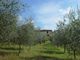 Thumbnail Property for sale in Reggello, Tuscany, 50066, Italy