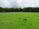 Thumbnail Land for sale in Ugworthy Cross, Holsworthy