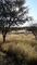 Thumbnail Land for sale in Windhoek, Windhoek, Namibia