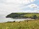 Thumbnail Detached house for sale in Talland Bay, Looe, Cornwall