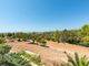 Thumbnail Villa for sale in Palma Nova, South West, Mallorca