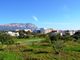 Thumbnail Villa for sale in Gata De Gorgos, Alicante, Spain