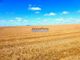 Thumbnail Land for sale in Property 86Ha Of Agricultural Cultivation, Santarém (Marvila), Et Al., Santarem Province, Santarém, Central Portugal