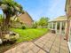 Thumbnail Detached house for sale in The Spaldings, St. Leonards-On-Sea