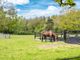 Thumbnail Detached house for sale in Woodmancote Lane, Hambrook, Chichester, West Sussex