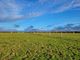 Thumbnail Land for sale in Penpol, Crantock, Newquay