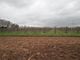 Thumbnail Land for sale in Peterstow, Ross-On-Wye, Herefordshire