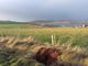 Thumbnail Property for sale in Land 2 Watering House, Longhope, Orkney