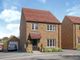 Thumbnail Detached house for sale in "Midford - Plot 210" at Weldon Manor, Burdock Street, Priors Hall Park Zone 2, Corby