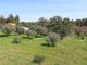 Thumbnail Property for sale in 6060 Idanha-A-Nova, Portugal