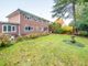 Thumbnail Detached house for sale in Lightwater, Surrey