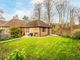 Thumbnail Semi-detached bungalow for sale in Beechwood Park, Leatherhead
