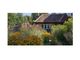 Thumbnail Cottage for sale in Tednambury, Spellbrook, Bishop's Stortford