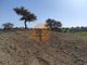 Thumbnail Land for sale in Alcarias Grandes, Azinhal, Castro Marim