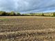 Thumbnail Land for sale in Ashcott, Bridgwater, Somerset