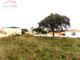 Thumbnail Land for sale in 2510 Óbidos Municipality, Portugal