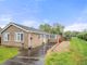 Thumbnail Detached bungalow for sale in Silver Street, Minting