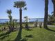 Thumbnail Apartment for sale in Cannes, Palm Beach, 06400, France