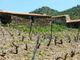 Thumbnail Farm for sale in P319, Famr Of 17 Hectares And A House In Upper Douro, Portugal, Portugal