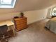 Thumbnail Terraced house for sale in Bayswater Road, Plymouth