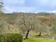 Thumbnail Villa for sale in Scandicci, Firenze, Scandicci, Toscana