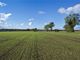 Thumbnail Land for sale in Clavering Hall Farm, Clavering, Saffron Walden, Essex