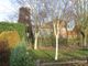 Thumbnail Detached bungalow for sale in Mill Close, Wainfleet