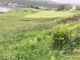 Thumbnail Farm for sale in Cuil, Uig, Portree