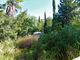 Thumbnail Villa for sale in La Xara, Alicante, Spain