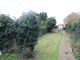 Thumbnail Semi-detached house to rent in Nelson Road, Kent