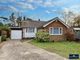 Thumbnail Detached bungalow for sale in Loxwood Close, Eastbourne