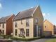 Thumbnail Detached house for sale in Long Green, Cressing, Braintree