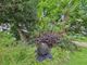 Thumbnail Flat to rent in Courtfield Gardens, London