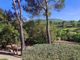 Thumbnail Villa for sale in Brignoles, Var Countryside (Fayence, Lorgues, Cotignac), Provence - Var