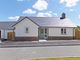 Thumbnail Detached house for sale in Molesworth Way, Holsworthy