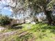 Thumbnail Property for sale in Ugento, Puglia, 73059, Italy