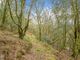 Thumbnail Land for sale in Hatway Hill, Sidbury, Sidmouth