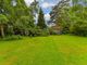 Thumbnail Detached bungalow for sale in Tushmore Lane, Northgate, Crawley, West Sussex