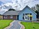 Thumbnail Detached bungalow for sale in Ridge Close, Scotby