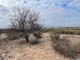 Thumbnail Land for sale in Alhama De Murcia, Murcia, Spain