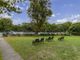 Thumbnail Flat to rent in Broom Park, Teddington