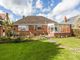 Thumbnail Detached bungalow for sale in Chestnut Walk, Little Baddow, Chelmsford