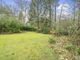 Thumbnail Bungalow for sale in Gasden Copse, Witley, Godalming