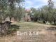 Thumbnail Villa for sale in 18035 Dolceacqua, Province Of Imperia, Italy