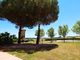 Thumbnail Villa for sale in Castiglione Del Lago, Perugia, Umbria